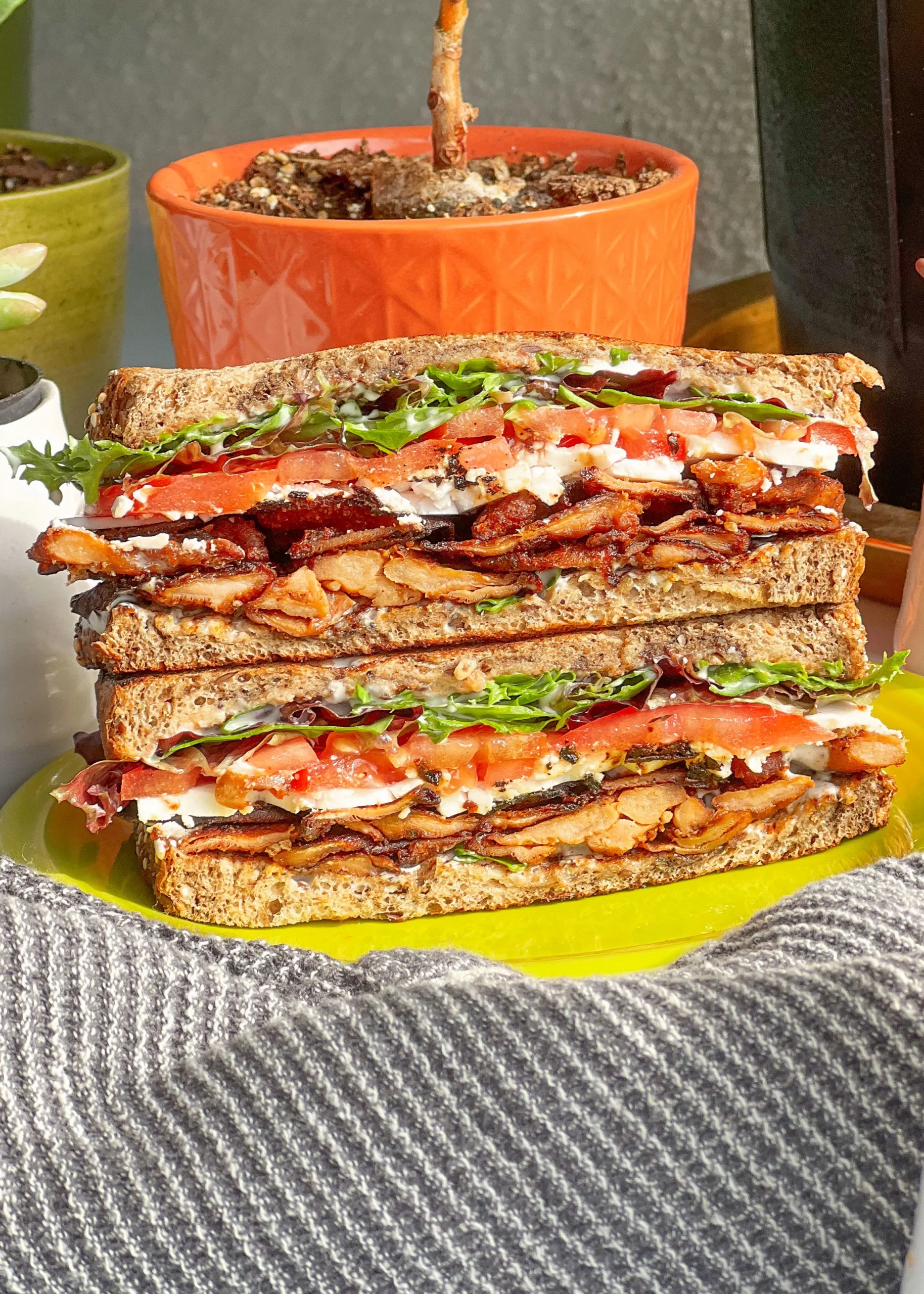 Pink Oyster Mushroom Bacon BLT Sandwich on a striped tablecloth in a casual setting.