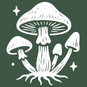 KC-Mushroom-co-Favicon KC-Mushroom-co-Favicon